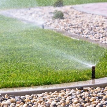Install new lawn sprinkler