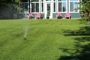 Summer Irrigation and Sprinkler Advice