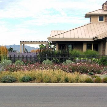 xeriscaping landscaper