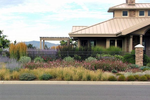 xeriscaping landscaper