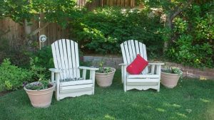 Now is the Right Time to Plan Your Landscape