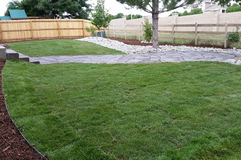 Landscaping new lawn installer