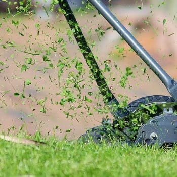 Landscaping lawn moving service
