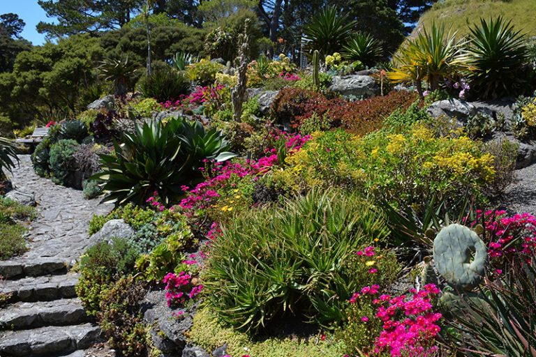 Xeriscaping service near me