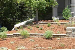 Xeriscaping Saves Water - Altitude Sprinkler & Landscape