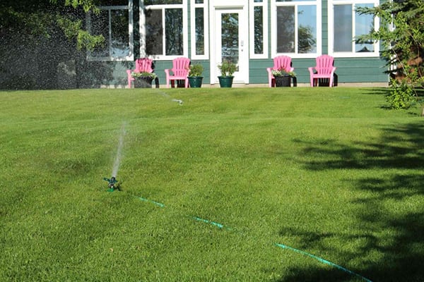 my yard needs a sprinkler system