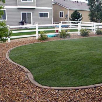 new sod landscaping
